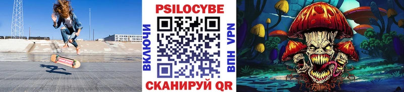 Галлюциногенные грибы Psilocybe  наркотики  Красный Сулин 